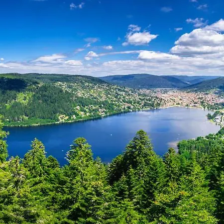 Apartament Studio Les Logis Mansardes Gérardmer